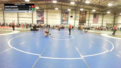 119 lbs Round Of 32 - David Johnson, TN vs Marcus Lawler, PA