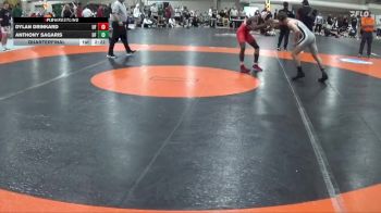 133 lbs Quarterfinal - Dylan Drinkard, Belmont Abbey vs Anthony Sagaris, Lake Erie College