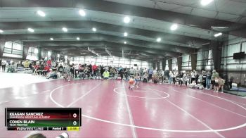 49 lbs Quarterfinal - Keagan Sanchez, Sanderson Wrestling Academy vs Cohen Blain, Team Prestige