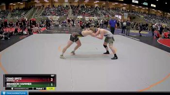 197 lbs Quarterfinals (8 Team) - Chad Spitz, Redmond vs Brandon Hammer, Eagle Point