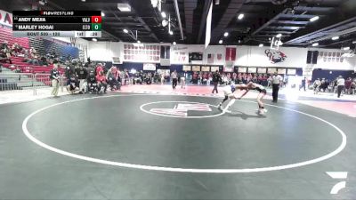 120 lbs Cons. Round 4 - Andy Mejia, Valley View vs Marley Hogai, El Toro