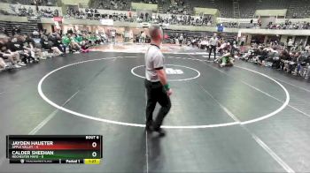 145 lbs Semis & 1st Wrestleback (8 Team) - Calder Sheehan, Rochester Mayo vs Jayden Haueter, Apple Valley