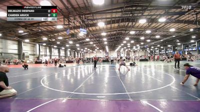 126 lbs Consi Of 64 #1 - Delmazio Despard, CT vs Camden Aruck, NY