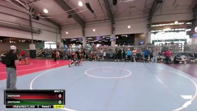 119 lbs Semifinal - MacKenzie Harris, Amped Wrestling Club vs Brynlee Mooney, Global Wrestling Club