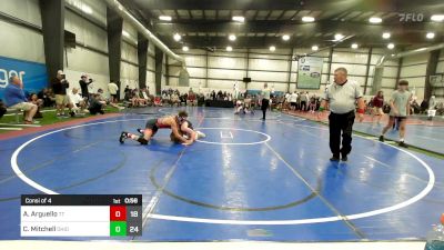 141 lbs Consi Of 4 - Antonio Arguello, Team Tugman vs Christopher Mitchell, Ohio Titan