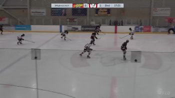 Replay: Home - 2025 Airdrie Xtreme vs Calgary Bisons | Mar 5 @ 8 PM