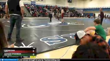 138 lbs Quarterfinal - Samson Oyedokun, Park Center vs Carter Ban, Anoka