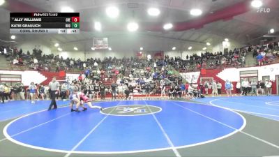 135 lbs Cons. Round 2 - Ally Williams, Chesterton vs Katie Graulich, Boonville