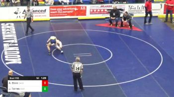 92 lbs Quarterfinal - Andrew Binni, Canon-McMillan vs Jason Torres, Coatesville
