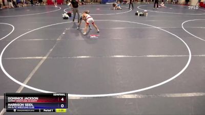 86 lbs Semifinal - Dominick Jackson, Summit Wrestling Academy vs Harrison Seidl, MN Elite Wrestling Club