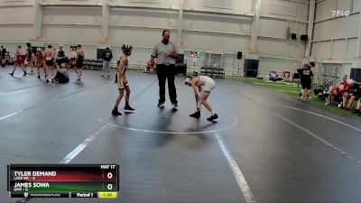 76 lbs Finals (2 Team) - Tyler Demand, Lake WC vs James Sowa, OMP