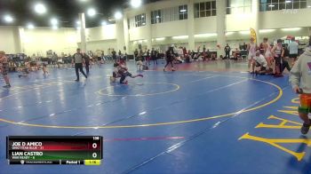 138 lbs Round 4 (6 Team) - Joe D Amico, Ohio Titan Blue vs Lian Castro, War Ready