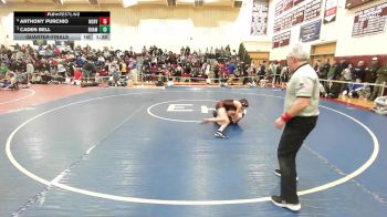106 lbs Quarterfinal - Anthony Purchio, North Haven vs Caden Bell, RHAM