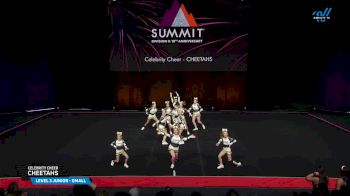 Celebrity Cheer - CHEETAHS [2025 L3 Junior - Small Finals] 2025 The D2 Summit