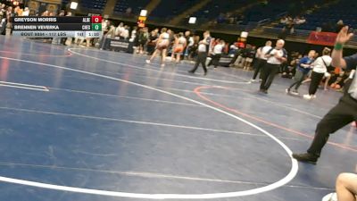 117 lbs Final - Greyson Morris, Albert Gallatin vs Brennen Veverka, Chestnut Ridge