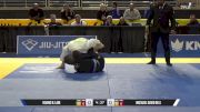 Michael David Bell vs Hoang N. Lam 2025 Pan Jiu Jitsu IBJJF Championship
