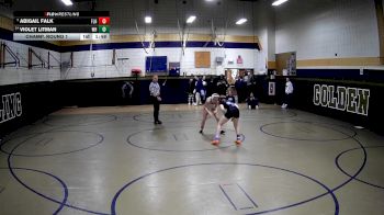 100 lbs Champ. Round 1 - Abigail Falk, Fort Leboeuf Hs vs Violet Litman, Woodland Hills