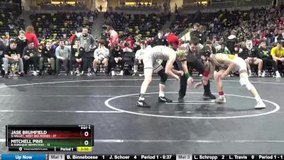 106 lbs Consolation Wb - Mitchell Pins, 8-Dubuque Hempstead vs Jase Brumfield, 5-Valley, West Des Moines