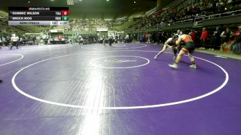 217 lbs Semifinal - Dominic Wilson, Tulare Union vs Brock Rios, Frontier