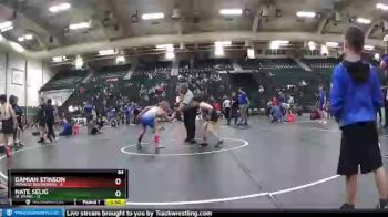 84 lbs Finals (2 Team) - Damian Stinson, Midwest Destroyers vs Nate Selig, Jr Titans