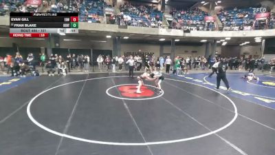 101 lbs Champ. Round 3 - Fran Blake, Chicago (Mt. Carmel) vs Evan Gill, Edwardsville