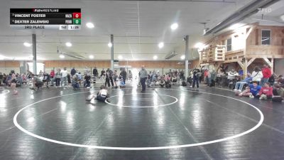 75 lbs 3rd Place - Vincent Foster, Nazareth vs Dexter Zalewski, Perry