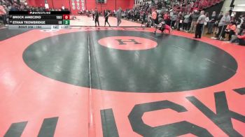 190 lbs Champ. Round 2 - Brock Janeczko, YORKVILLE (HS) vs Ethan Trowbridge, LIBERTYVILLE