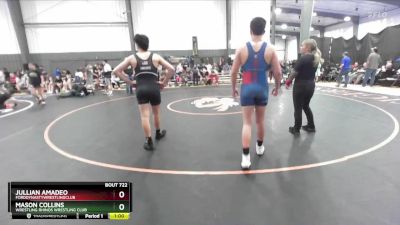 165 lbs 2nd Place Match - Mason Collins, Wrestling Rhinos Wrestling Club vs Jullian Amadeo, FordDynastyWrestlingClub