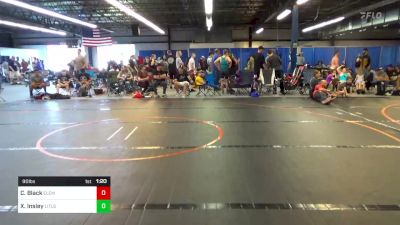 90 lbs Rr Rnd 3 - Carter Black, Elemonators vs Xander Insley, Littlestown