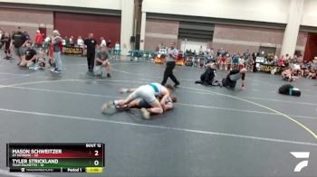 167 lbs Round 4 (6 Team) - Tyler Strickland, Team Palmetto vs Mason Schweitzer, KY Extreme