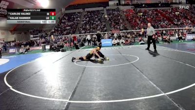 5A 157 lbs Semifinal - Kalab Hammer, Lakeland vs Carlos Valdez, Bishop Kelly