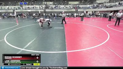 125 lbs Cons. Round 4 - Roman McKinney, Minnesota vs Lane Andersen, Pinnacle Wrestling Club