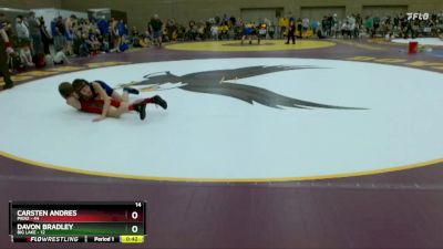 102 lbs Placement (4 Team) - Carsten Andres, Pierz vs Davon Bradley, Big Lake