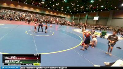 44-51 lbs Round 4 - Liam Mcneil, Silver State Wrestling Academy vs Connor Dwyer, Yerington Lions Wrestling
