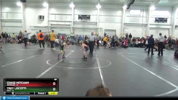 48 lbs Round 7 (8 Team) - Chase Mitcham, Rambler vs Trey Liscotti, Silo