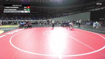 4A Boys 132 lbs Cons. Round 1 - Chris Stromberg, Klamath Union Boys vs Evan Hernandez, Newport Boys