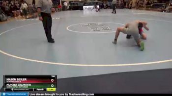106 lbs Champ. Round 1 - Nunzio Salanitri, Cedar Rapids Jefferson vs Mason Besler, Dubuque Senior