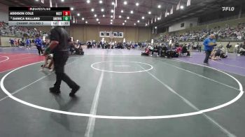 140 lbs Champ. Round 2 - Danica Ballard, Smithville vs Addison Cole, Westmoore