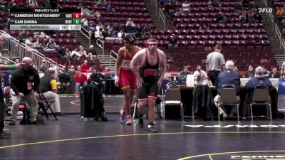 285 lbs Preliminaries - Cameron Montgomery, Haverford vs Cam Danna, West Allegheny