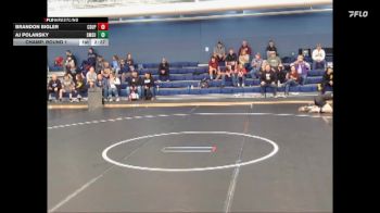 133 lbs Champ. Round 1 - Brandon Bigler, Colorado State University - Pueblo vs Aj Polansky, Southwest Minnesota State