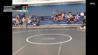 133 lbs Champ. Round 1 - Brandon Bigler, Colorado State University - Pueblo vs Aj Polansky, Southwest Minnesota State
