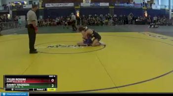 145 lbs Round 3 (3 Team) - TYLER ROSSINI, Burnt Hills Sr HS vs Danny Hagreen, Fairport Sr HS