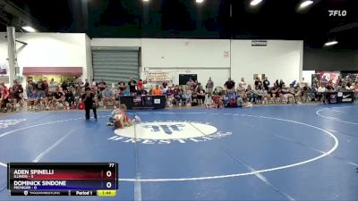 77 lbs Placement Matches (16 Team) - Aden Spinelli, Illinois vs Dominick Sindone, Michigan