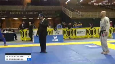 WANDERSON MARCIO DOS SANTOS vs MATT SCHELLENSCHLAGER 2020 World Master IBJJF Jiu-Jitsu Championship