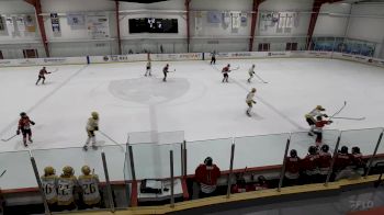 Replay: Home - 2023 Nashville Predators vs Atlanta Fire U14 | Dec 2 @ 5 PM