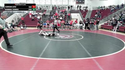 113 lbs 1st & 3rd (16 Team) - Dominic Torino, Creekview vs Carson Lutz, Glynn Academy