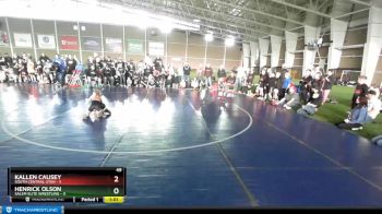 49 lbs Champ Round 1 (16 Team) - Kallen Causey, South Central Utah vs Henrick Olson, Salem Elite Wrestling