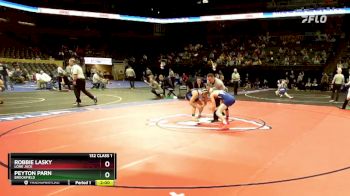 132 Class 1 lbs Semifinal - Robbie Lasky, Lone Jack vs Peyton Parn, Brookfield