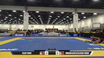 Windson Torres vs Fellipe Trovo 2025 World IBJJF Jiu-Jitsu No-Gi Championship