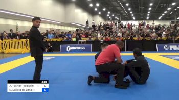 Allan Patrick Pellegrini Kell vs Regis Calixto De Lima 2024 World Masters IBJJF Jiu-Jitsu Championship